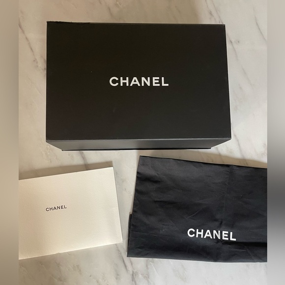 SOLD - CHANEL Python Straight-Lined Flap Bag - Picture 15 of 16